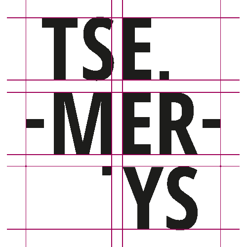 typographie logo tsemerys